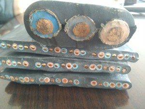 �ұ����z��ƽ��|